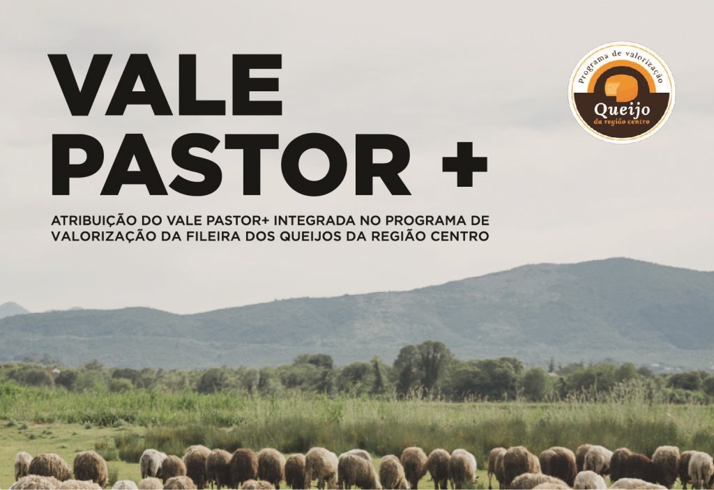 Vale Pastor +